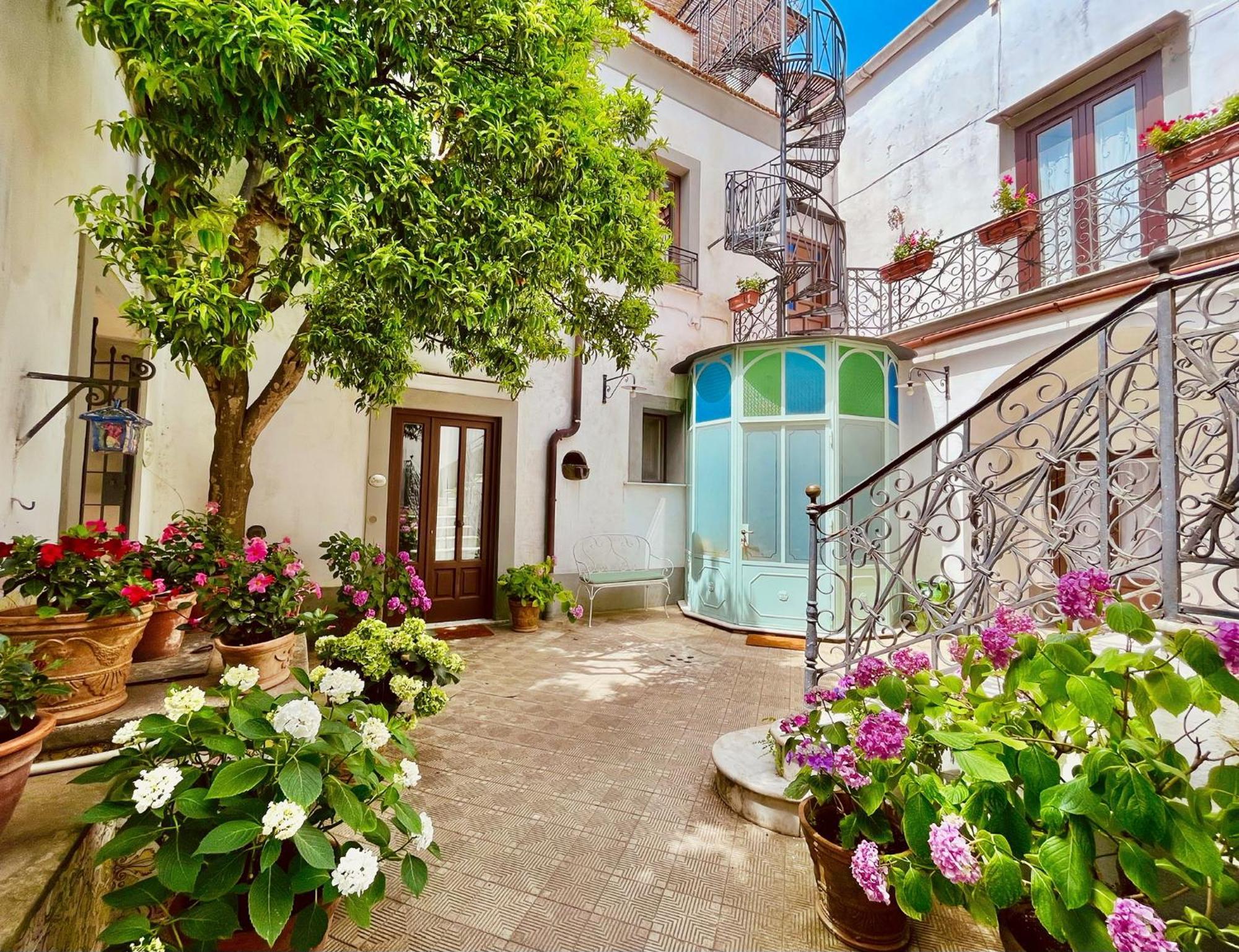 La Dimora: Relax In A Lovely Garden Massa Lubrense Εξωτερικό φωτογραφία